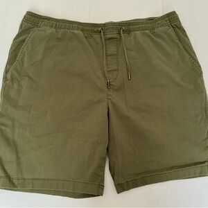 GAP Men's Khaki Green Flat Front Shorts